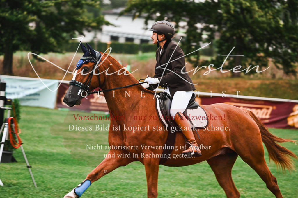 DSC_5884 | Pferde- und Turnierfotografie in Westsachsen. Pferdeportraits, Auftragszeichnungen und intuitive Kunst.