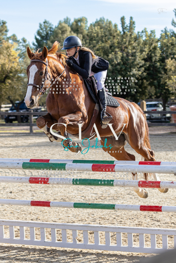 IMG_0400 | s-jay-photography - Realisiert mit Pictrs.com