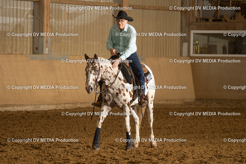 LAU00415 | dv-media-shop - Realisiert mit Pictrs.com