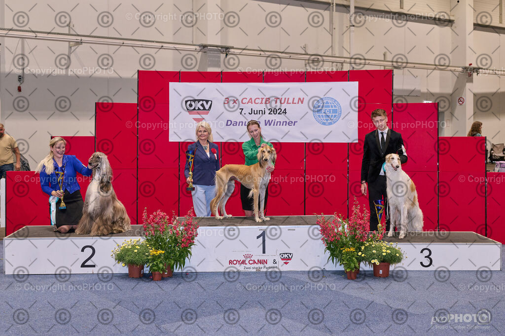 202406_ÖKV-IHA-Tulln24_NZ9_7896 | proPHOTO - Realisiert mit Pictrs.com