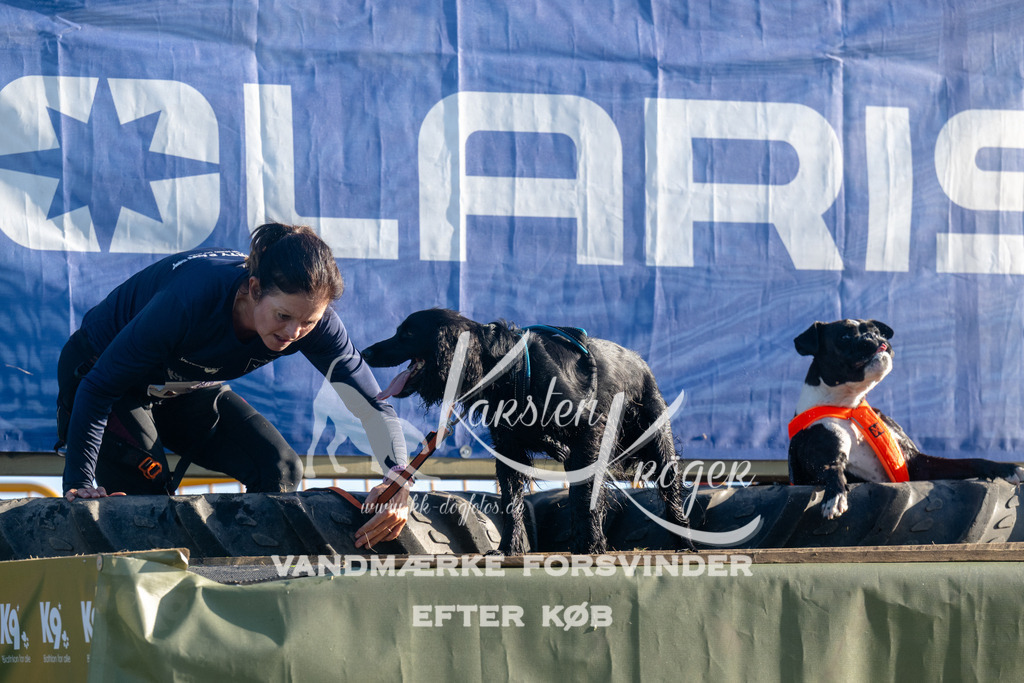 0816_ZZ93053 | kk-dogfotos