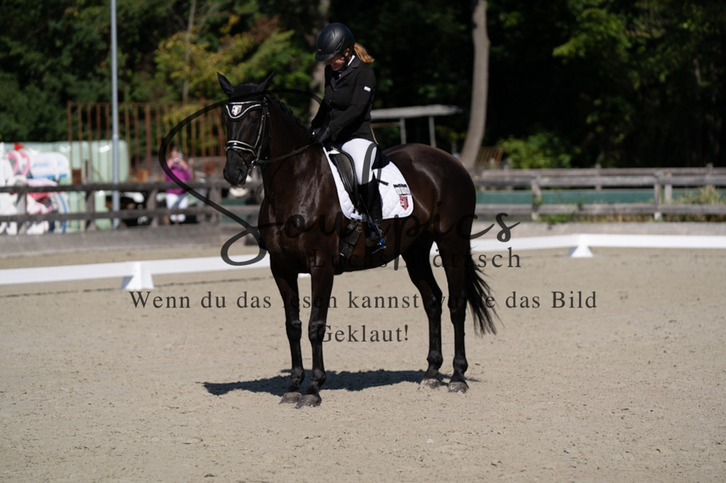 A7V07002 | Pferdefotograf