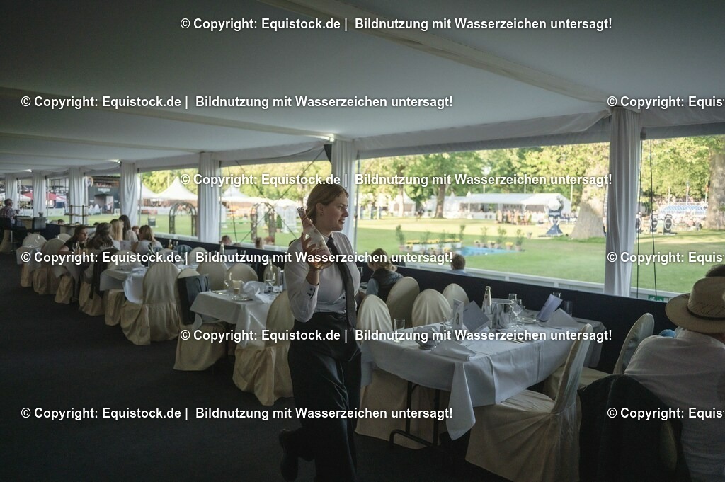 DSC_8697 | equistock