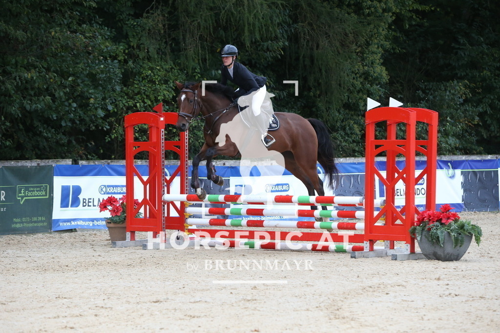 DL2Q0304 | Willkommen bei Brunnmayr - Design & Fotografie – Ihrem Spezialisten für Reitturniere und Pferdeveranstaltungen in Oberösterreich, Salzburg und Bayern! Seit über 17 Jahren sind wir leidenschaftlich dabei.