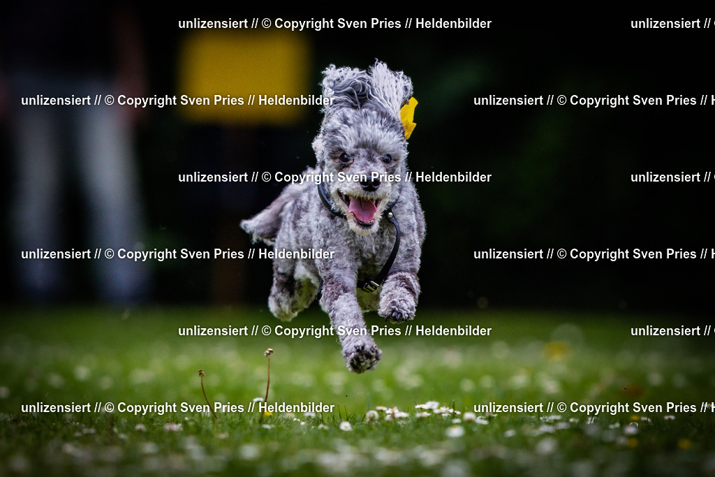 Sven Pries | 2025-05-29 - Pudelrennen KA-Durlach - Realisiert mit Pictrs.com