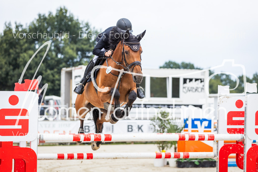 BHO-2PhSpr-M-009 | MomenTaufnahmen Pferdesportfotos