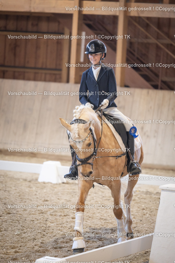 _D5A2549 | Emotionale Pferde- & People-Fotografie rund um Heidelberg, Leimen & Umgebung. Natürliche Fotos von Pferd, Mensch & Familie. Jetzt Termin sichern!