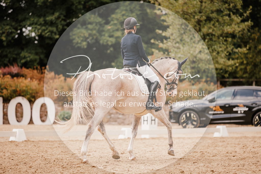 3I6A6185 | Stimmungsvolle Portraits und Reitsportfotografie im Ruhrgebiet und im Münsterland.

Pferdefotografie, Hundefotografie, Tierfotografie, Reportagen, Portraits von Tier und Mensch, Turnierfotografie in Bochum, Recklinghausen, Marl, Haltern am See, Dülmen.. - Realisiert mit Pictrs.com