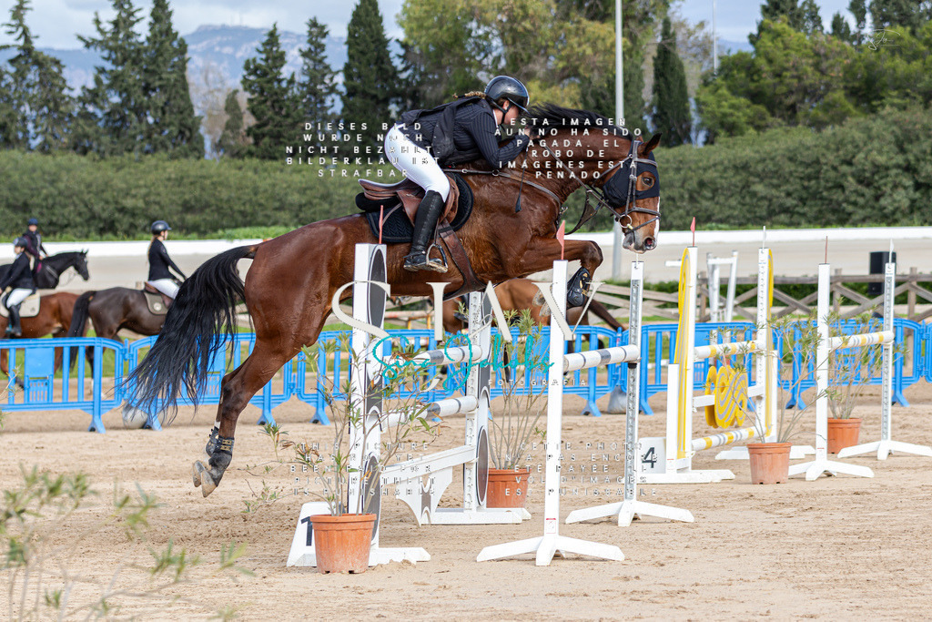 IMG_3011 | s-jay-photography - Realisiert mit Pictrs.com