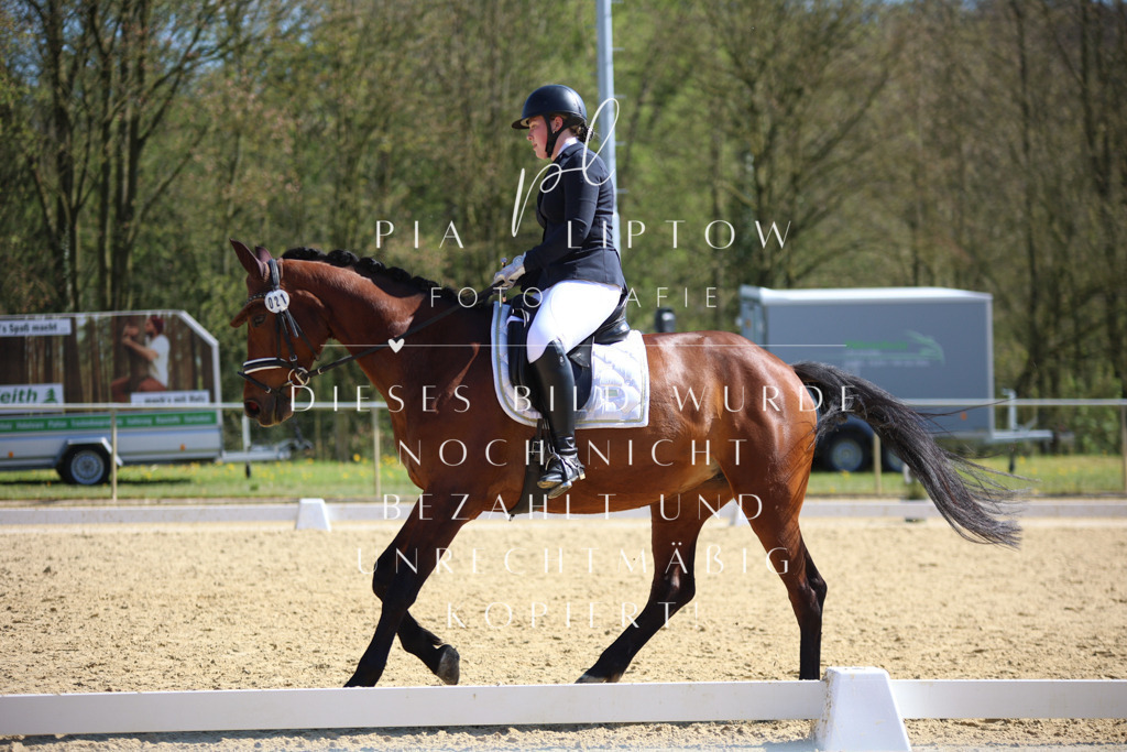 IMGT8033 | pl-fotografie