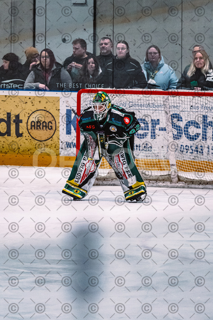 Alligators_vs_Toelz_15_02_2026-26 | Höchstadt Alligators Fotogalerie: Eishockey-Action aus Franken. Professionelle Spielfotos, Portraits & Stadionbilder zum Download. Jetzt entdecken! - Realisiert mit Pictrs.com