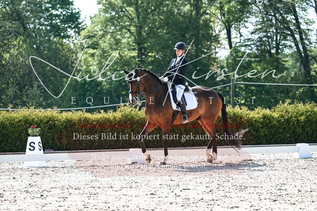 20230514_JK-Röhrsdorf-18-476 | Pferde- und Turnierfotografie in Westsachsen. Pferdeportraits, Auftragszeichnungen und intuitive Kunst.