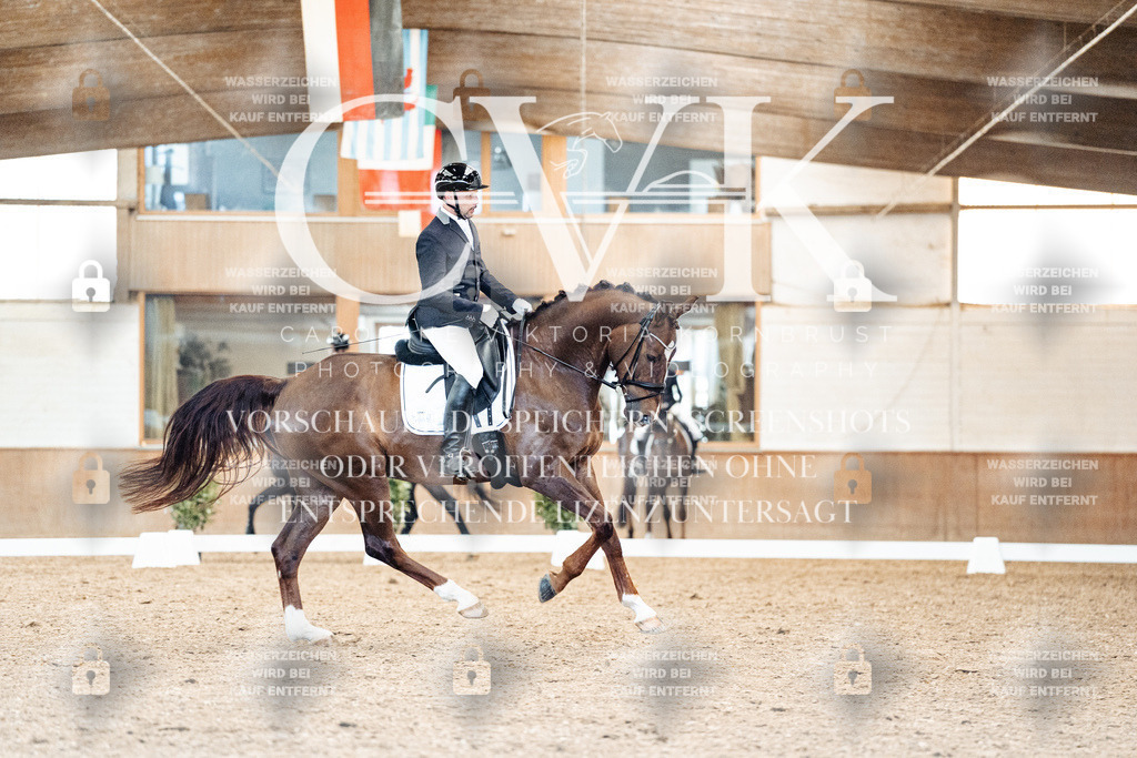 CK909433 | Turnierfotografie Pferdefotografie Trier Rheinland-Pfalz Pferdesport Reitsport Tierfotografie Sportfotografie Pferdevideo Pferdevideografie Equestrianvideography equestrianphotography  - Realisiert mit Pictrs.com