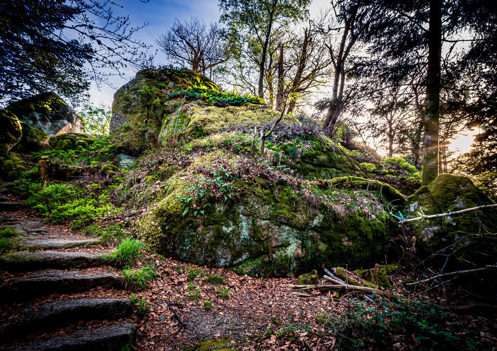 MPI_Landscape_0016 | Herzlich Willkommen im Shop von Michael's Photoimpressionen – Stimmungsvolle Fotografien, aus dem Schwarzwald und der Ortenau, die Licht und Farbe verbinden. Als hochwertige Fine-Art-Prints erhältlich.  - Realisiert mit Pictrs.com