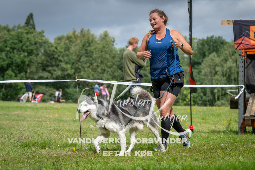 1147_ZZ92998 | kk-dogfotos