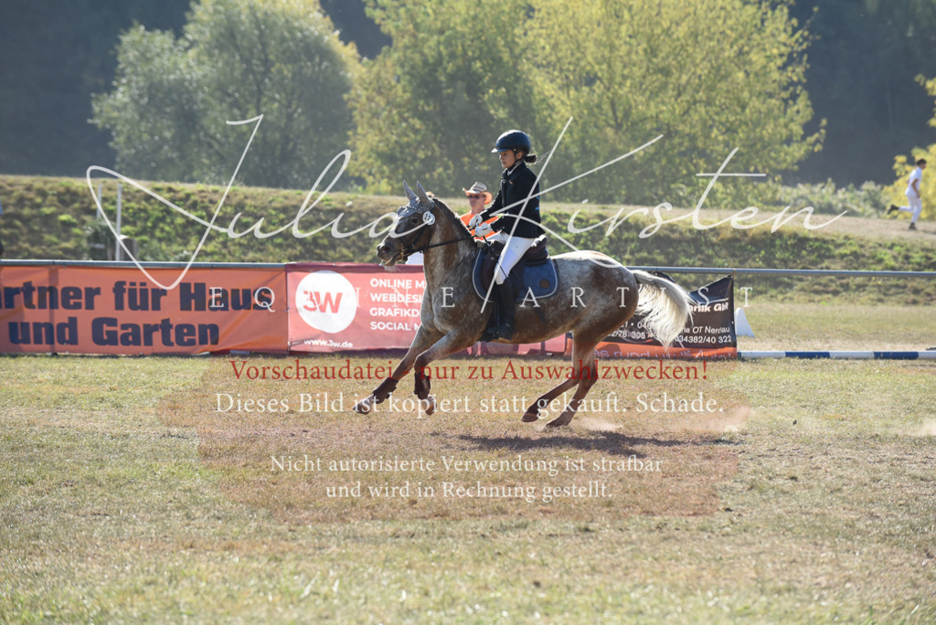 DSC_5903 | Pferde- und Turnierfotografie in Westsachsen. Pferdeportraits, Auftragszeichnungen und intuitive Kunst.