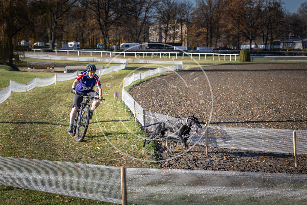 CaniXpix_DV3A4733 | Hundefotografie, Tierfotograf, Pfotenfotografie, Fotoshooting Hund, Hunde Portrait, Hundesport, Hundeportraits, Heideshooting, Hunde, Sportfotograf, Hundefotograf, Turnierhundsport, THS,  - Realisiert mit Pictrs.com