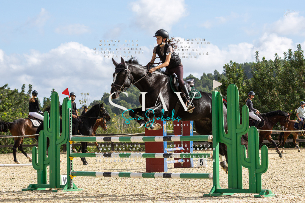 IMG_3155 | s-jay-photography - Realisiert mit Pictrs.com