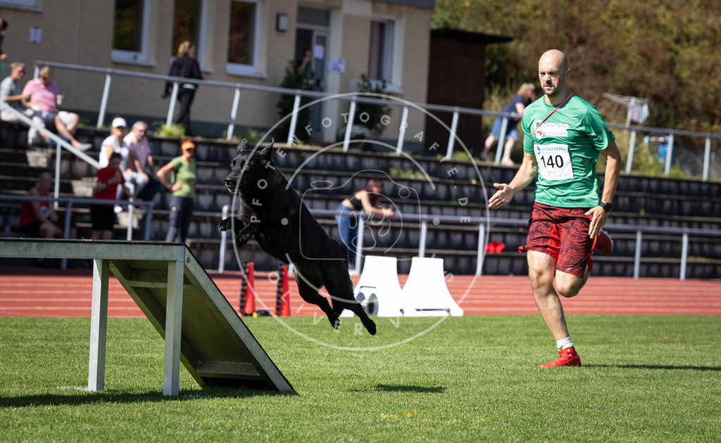 Pfotenfotografie_DV3A9089 | Hundefotografie, Tierfotograf, Pfotenfotografie, Fotoshooting Hund, Hunde Portrait, Hundesport, Hundeportraits, Heideshooting, Hunde, Sportfotograf, Hundefotograf, Turnierhundsport, THS,  - Realisiert mit Pictrs.com