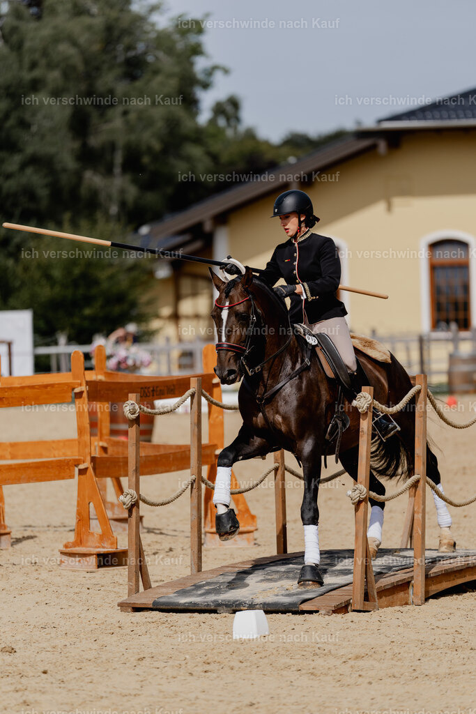 Virginie12FHC2025-3026 | working equitationturnier fotograf videograf stoibphotography marixx film working equitation deutschland reitsport turnierfotografie eventfotografie equestrian events