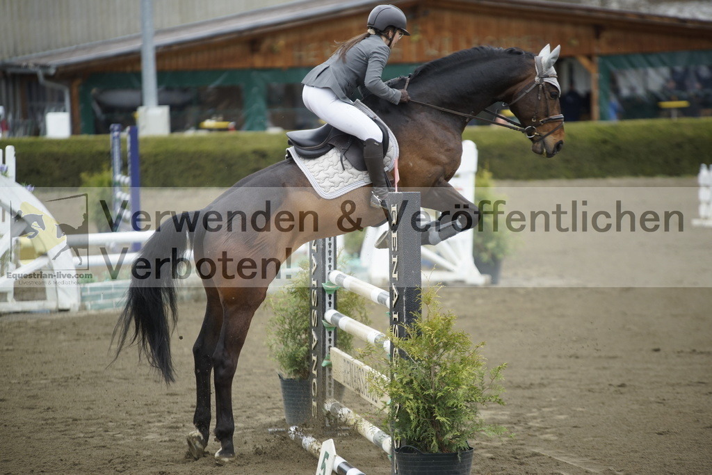 _DSC7090 | equestrian-live-com