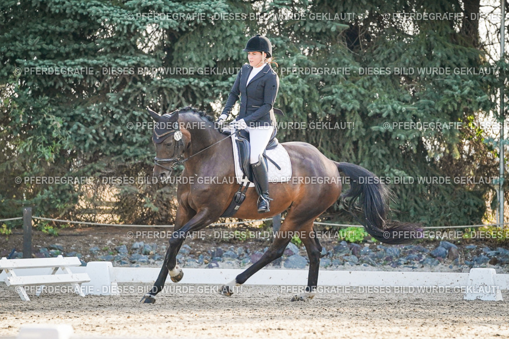 DSC08052 | Pferdegrafie