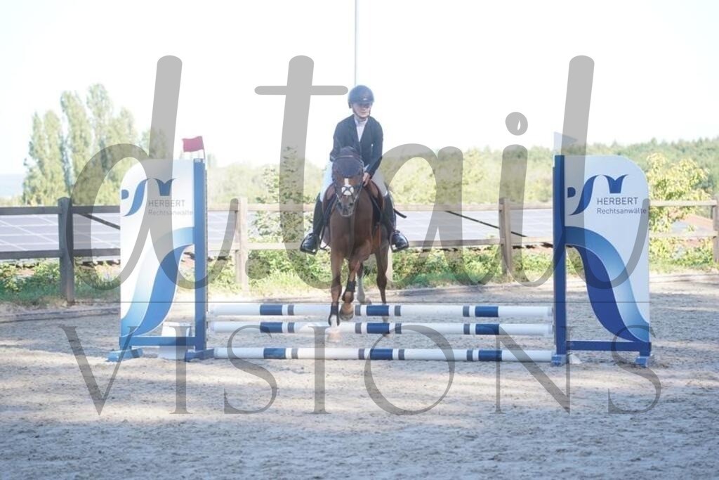 tgbhsonntag (82) | d.tail Visions - Shop - Realisiert mit Pictrs.com