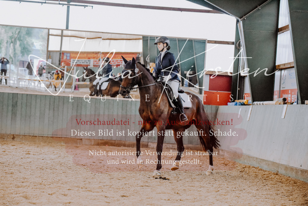 DSC_7631 | Pferde- und Turnierfotografie in Westsachsen. Pferdeportraits, Auftragszeichnungen und intuitive Kunst.