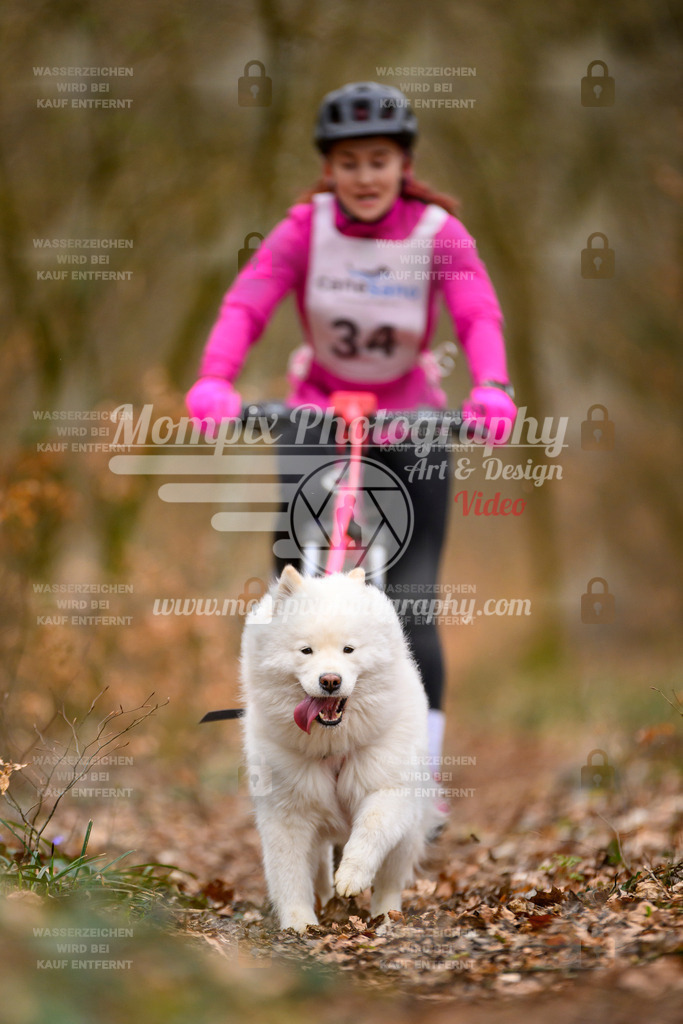 MompixPhotography_ReiatRennen2024_SO_Bike1H-29 | PayLife