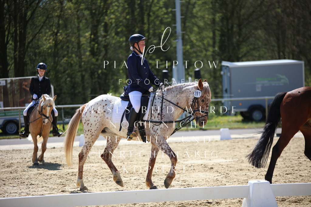 IMGT0254 | pl-fotografie