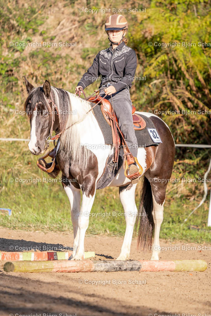 SAL02419 | BS-foto