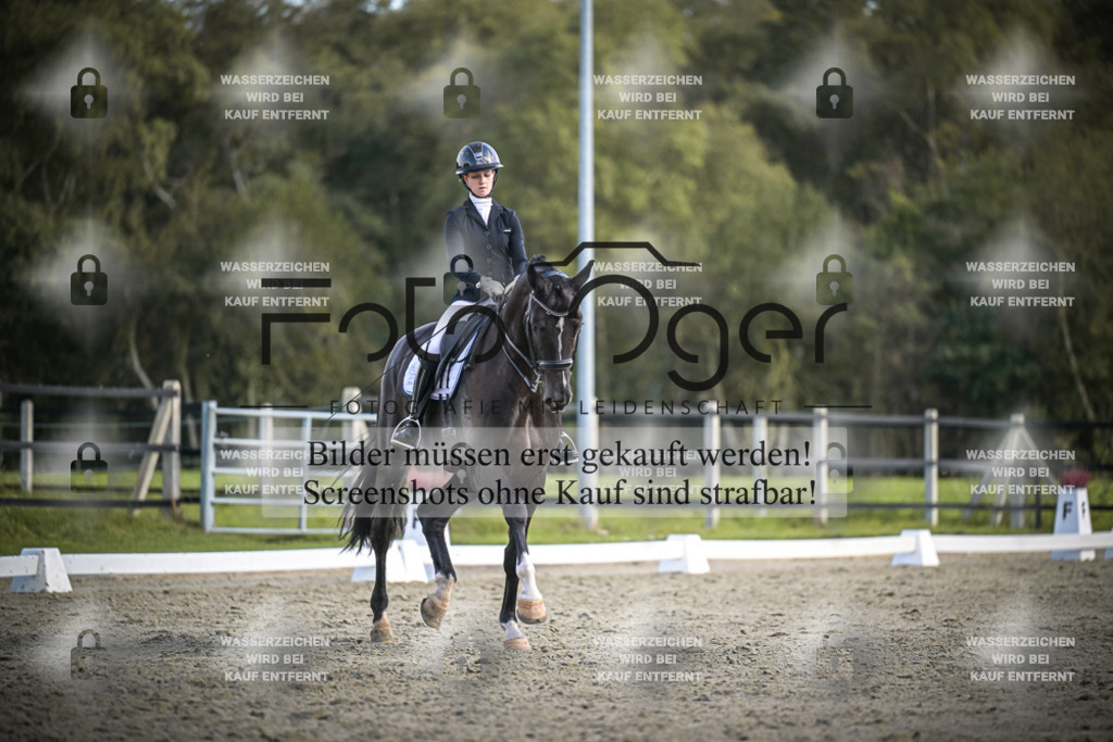 DOS_4164 | Entdecke hochwertige Reitturnierfotos von Foto Oger. Professionell, emotional und authentisch – jetzt Lieblingsmomente im Shop bestellen.Deutschlandweite Turnierfotografie. - Realisiert mit Pictrs.com