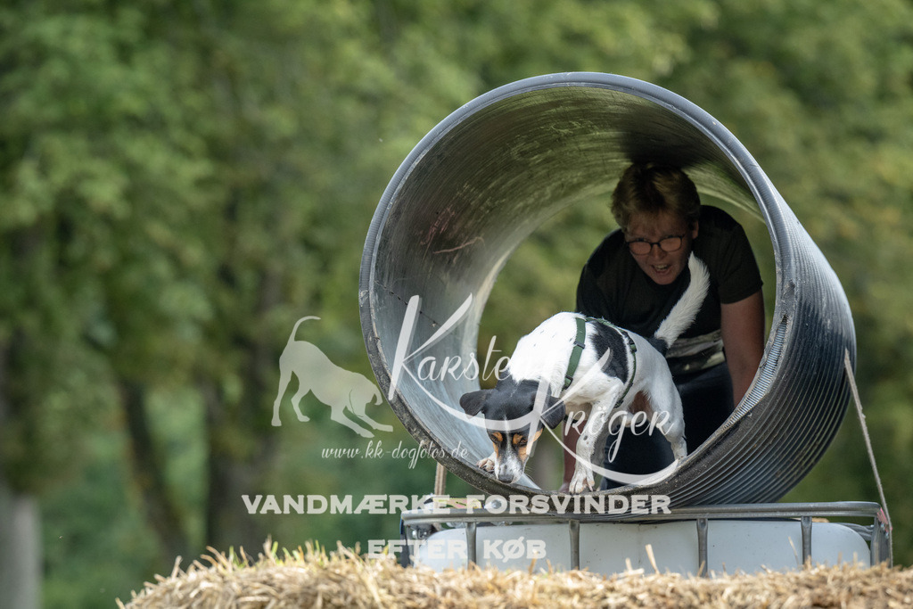 1027_ZZ92031 | kk-dogfotos