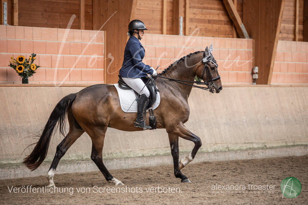 250913_Barop_13_060 | farbklaex.com