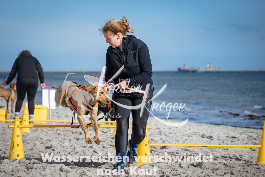 1335_ZZ92109 | kk-dogfotos