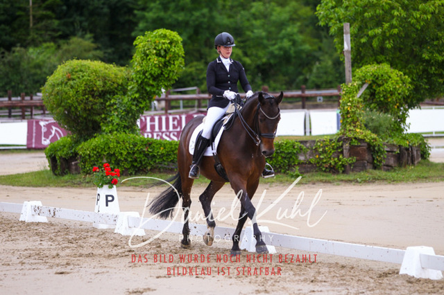 DKP46818 | Turniersportfotografie; Pferdefotografie; Dressurfotografie