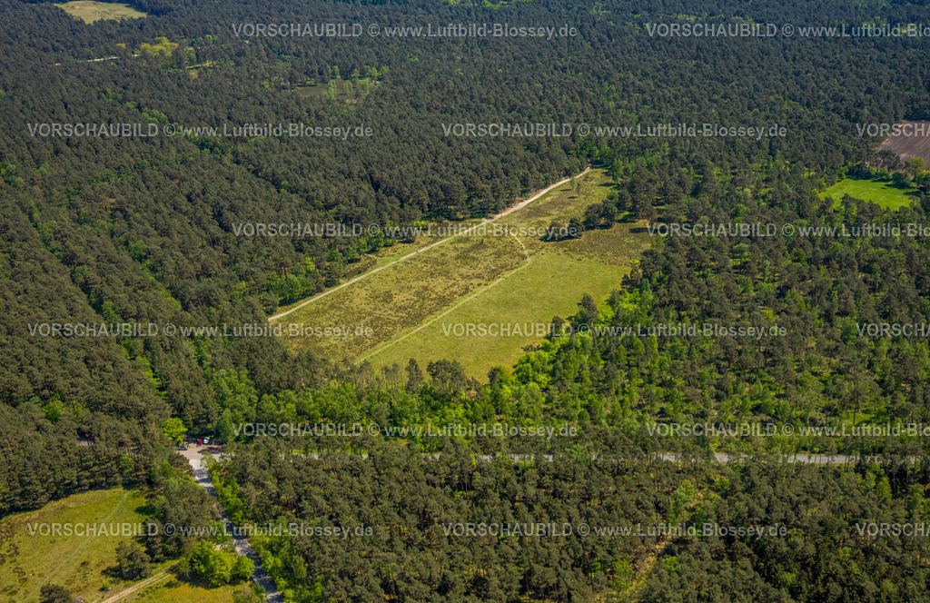 SchlossHolteStukenbrock240505154Moosheide_Heidelandschaft | Luftbild, NSG Naturschutzgebiet Moosheide in der Senne, Heidelandschaft Waldgebiet am Emser Kirchweg, Wandergebiet, Hövelhof, Ostwestfalen, Nordrhein-Westfalen, Deutschland
