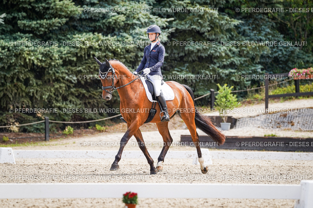 DSC00186 | Pferdegrafie