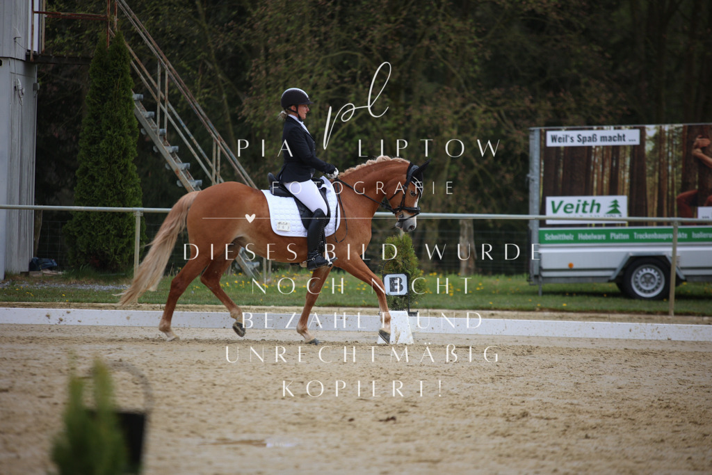 IMGT5540 | pl-fotografie