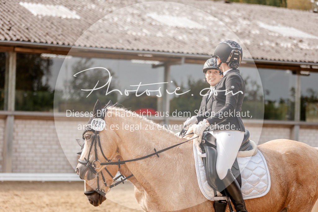 3I6A4514 | Stimmungsvolle Portraits und Reitsportfotografie im Ruhrgebiet und im Münsterland.

Pferdefotografie, Hundefotografie, Tierfotografie, Reportagen, Portraits von Tier und Mensch, Turnierfotografie in Bochum, Recklinghausen, Marl, Haltern am See, Dülmen.. - Realisiert mit Pictrs.com