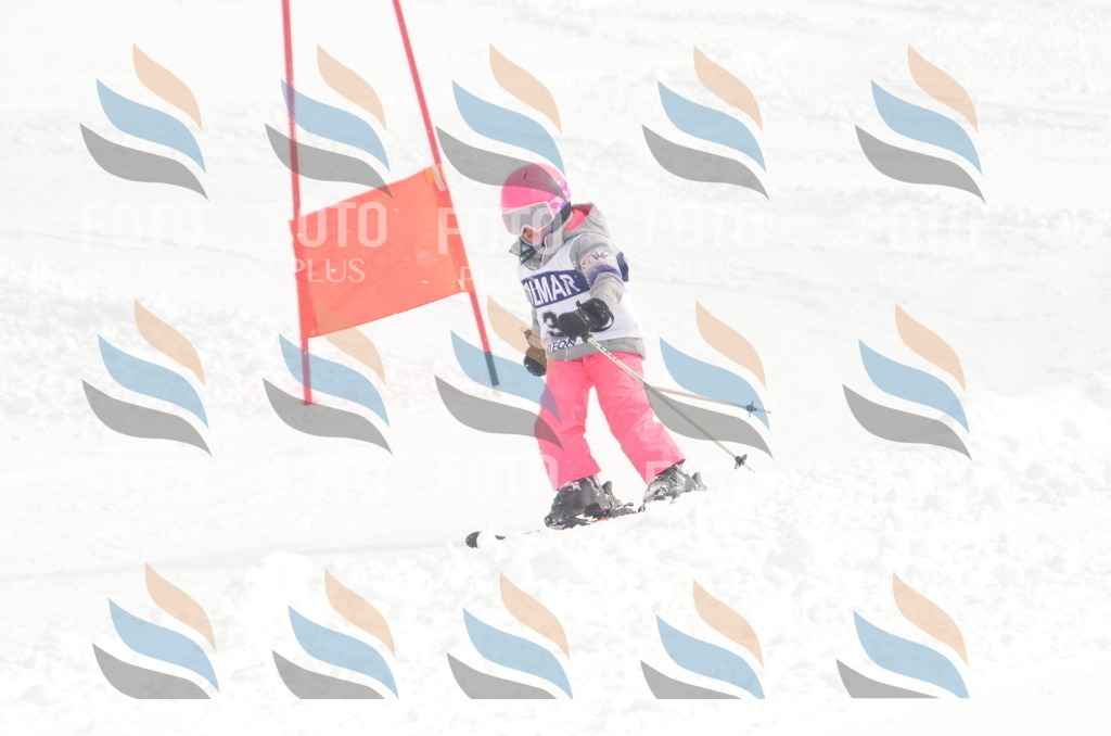 A5004 | holidayphoto