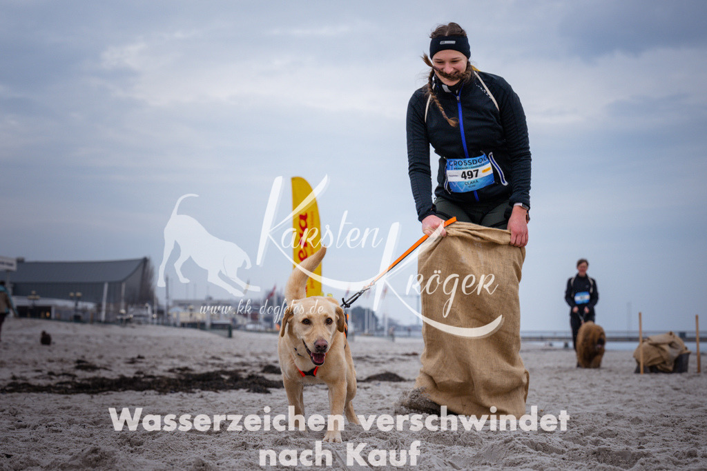 1213_ZZ92712 | kk-dogfotos