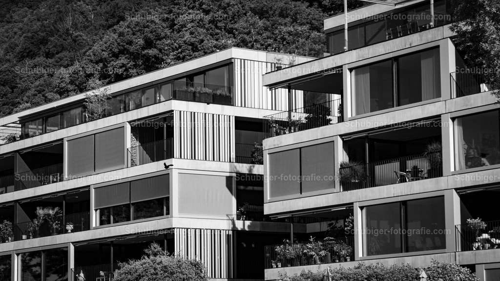 DSCF2680 | fotografie, Schubiger, Landschaftsfotografie, Tierfotografie, Industrie, Immobilien, Bilder, Poster, Kunst und KI - Realisiert mit Pictrs.com