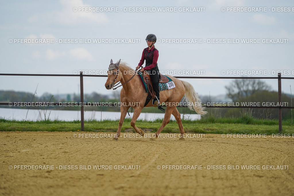 DSC05748 | Pferdegrafie