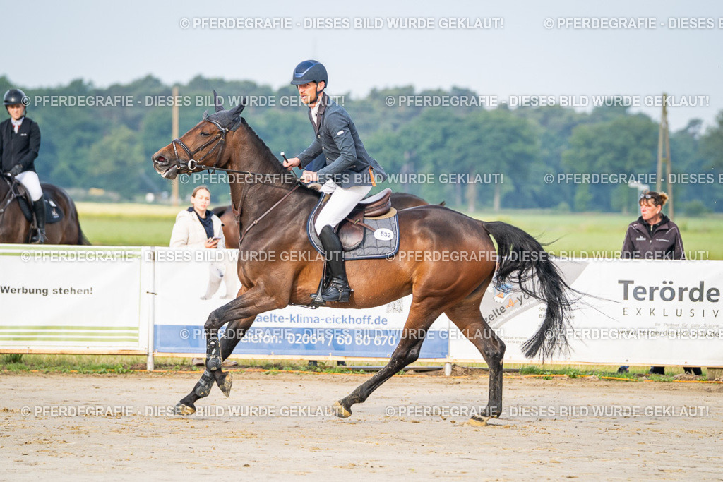 DSC07686 | Pferdegrafie