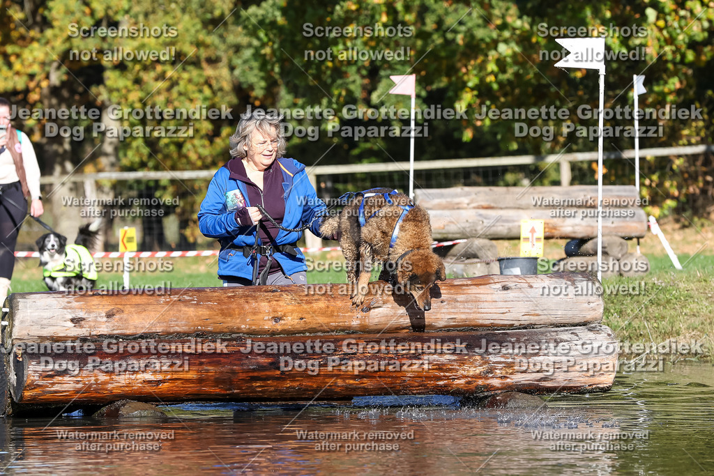 Dog Paparazzi - Strongdog 10-25-8903 | Dog Paparazzi Jeanette Grottendiek Fotografie & Videografie - Realisiert mit Pictrs.com