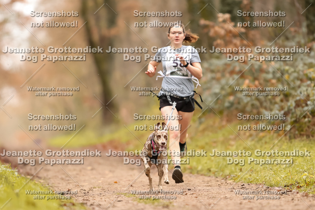 Dog Paparazzi - Speedhunter Mannheim  2025-165 | Dog Paparazzi Jeanette Grottendiek Fotografie & Videografie