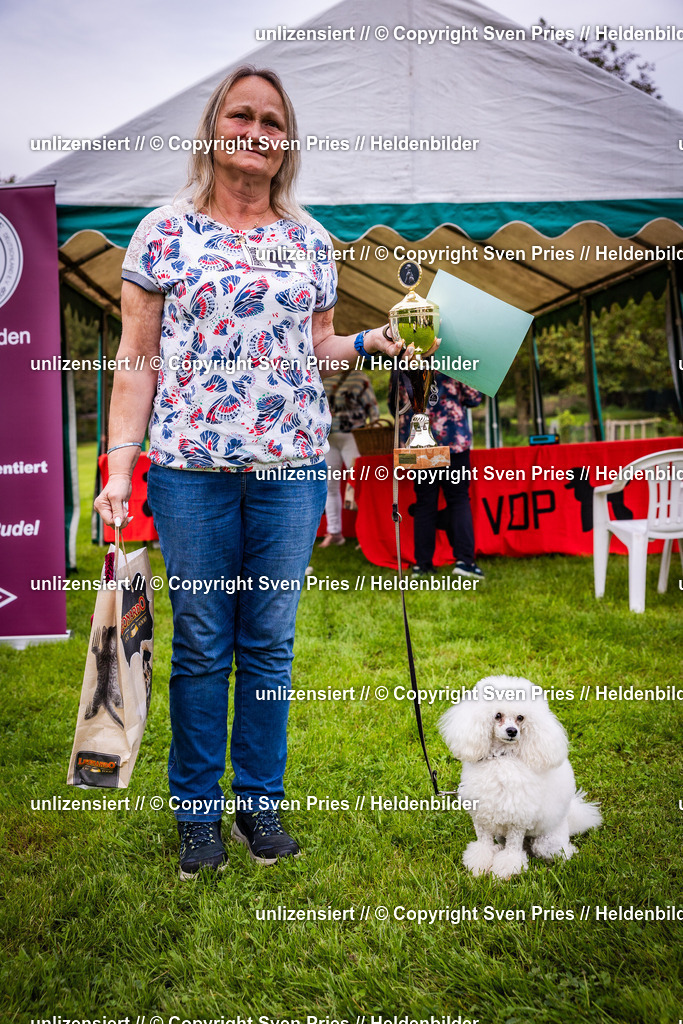 Sven Pries | 2024-09-22 - Hunderennen Baden-BadenPudelverein - Realisiert mit Pictrs.com