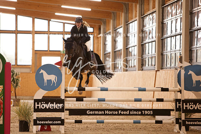 1J2A6683Alexa Burmeister_ Catania 131_ Kn091_ Glantz_ Hohen Wieschendorf | Foto- und Videografie für alles rund ums Pferd. Hochwertige Bilder und Videos vom Spring- und Dressurreiten, Voltigieren & mehr. Jetzt aktuelle Veranstaltungen und Preise im Shop ansehen. - Realisiert mit Pictrs.com