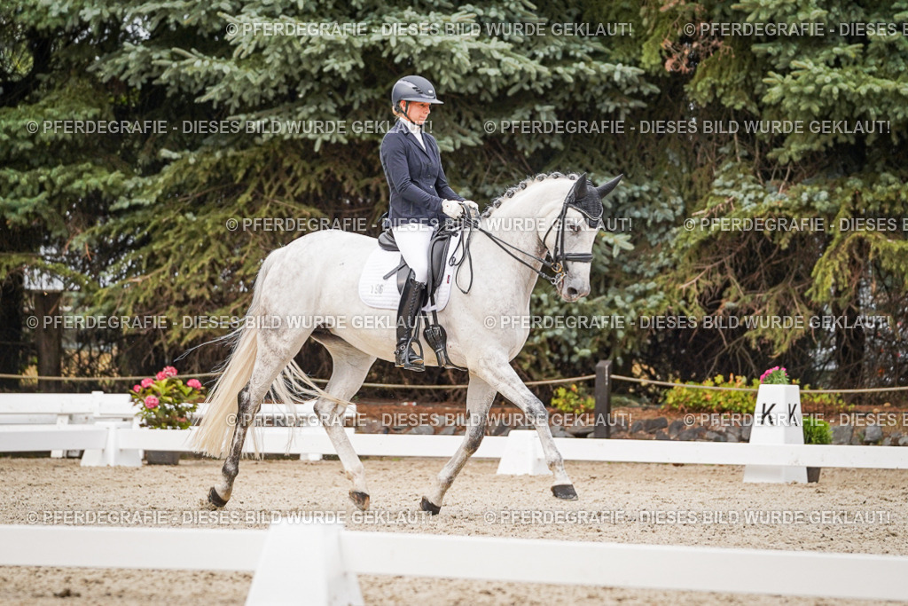 DSC07821 | Pferdegrafie